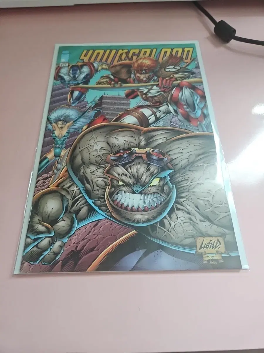 Y / 1995 / YOUNGBLOOD VOL. 2 #2