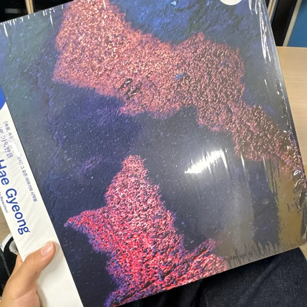 신해경 나의 가역반응 LP 미개봉