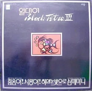열대어 블랙테트라 3