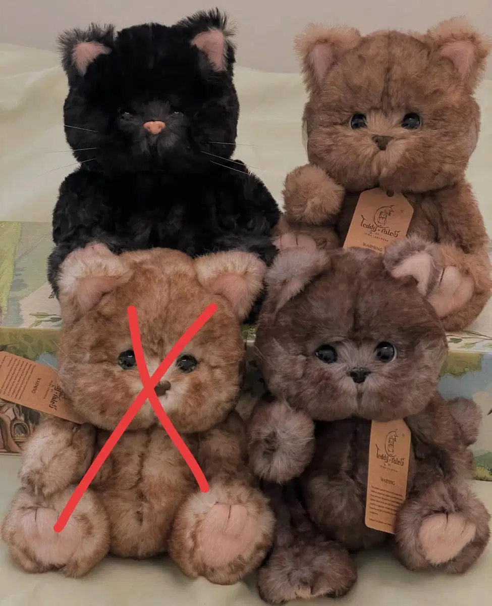 테디테일즈 고양이 3종