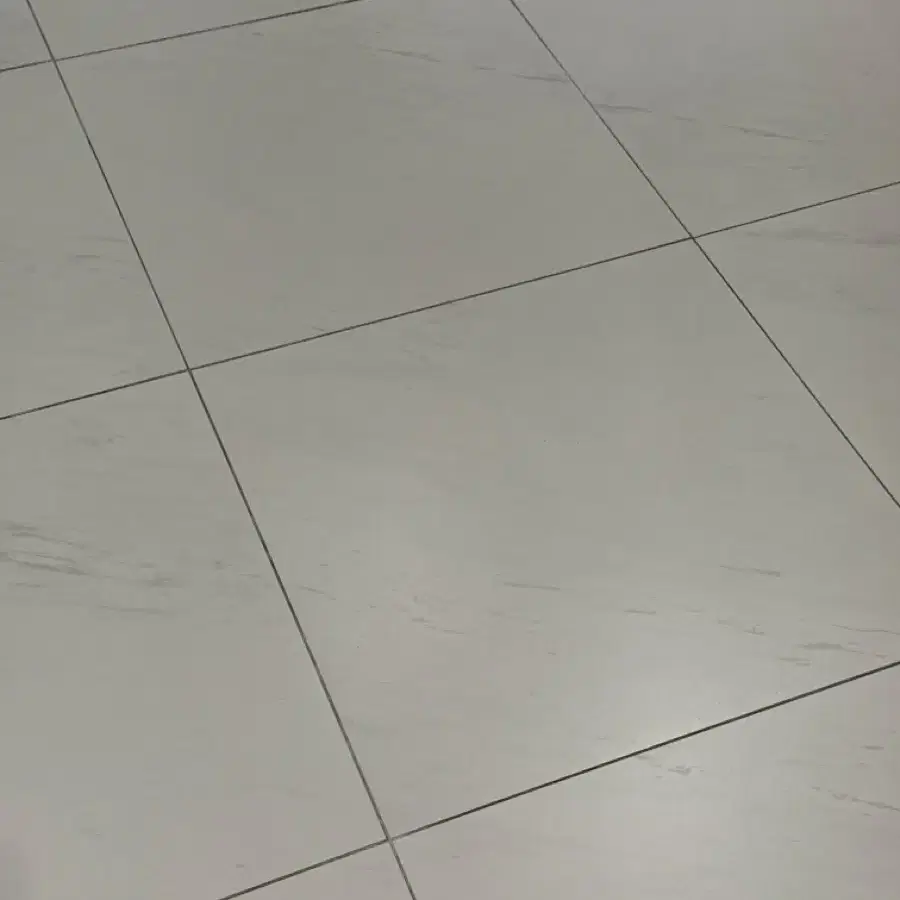 리자몽 두개 구매창