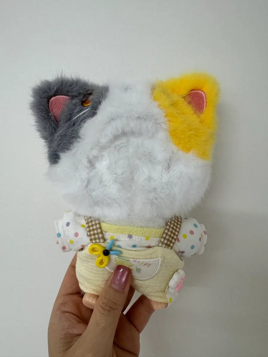 지이모 삼색냥이 몽달 100