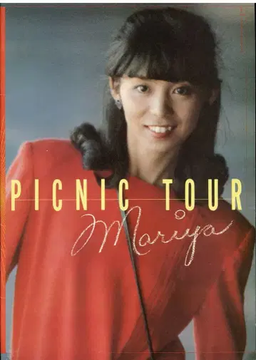 팜플렛 타케우치 마리야 PICNIC TOUR (1980년)