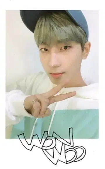 세븐틴 2020 4TH 팬미팅 캐럿랜드 원우 폴라로이드 카드 이름
