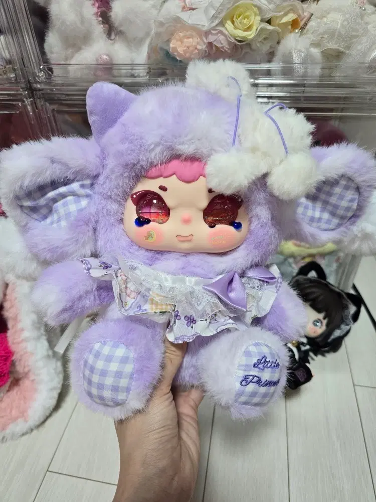 베이비쓰리 지이모