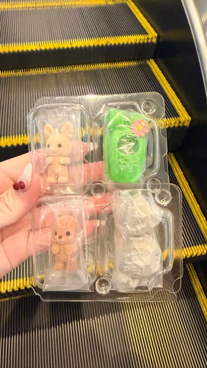 돌바니안 선바니안