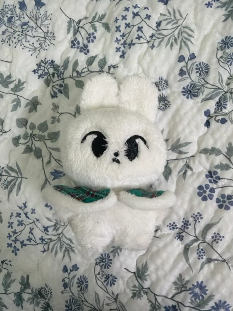 하또 김도영 도영 인형 10cm
