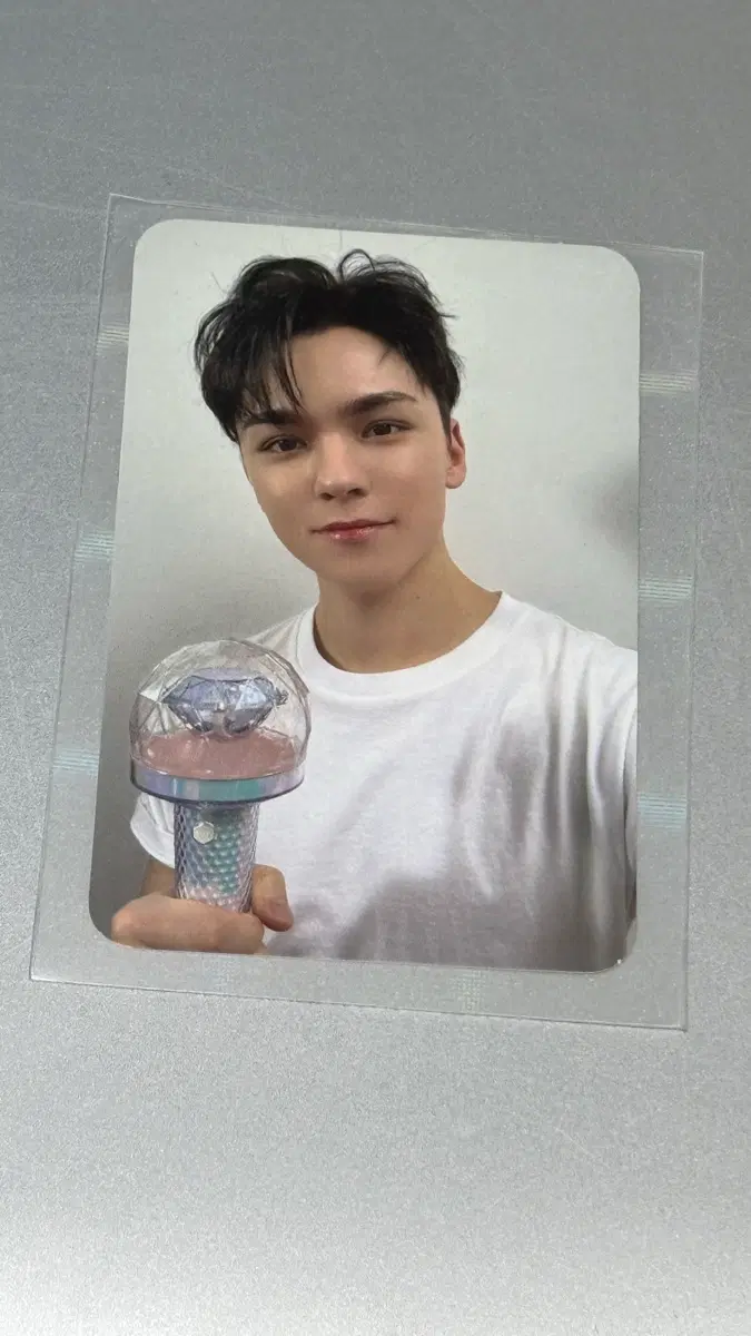 2023 캐럿랜드 버논 캐럿존