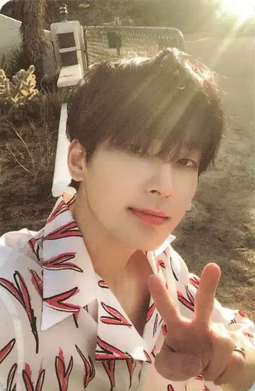 SEVENTEEN [Heng:garae] WONWOO 트레이딩 카드 SET