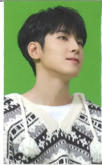 SEVENTEEN HMV/Loppi WONWOO 아이노치카라