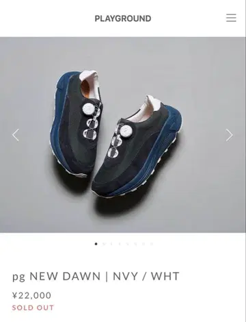 pg NEW DAWN