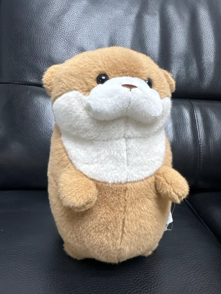 우소짱 수달 중형 인형