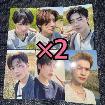 ENHYPEN THE SINBLISS 트레이딩 카드 HMV 특전 6종 컴프 x 2