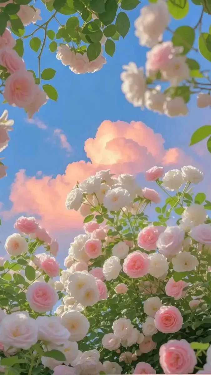 판매전용 결제창