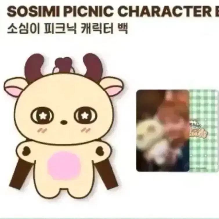 현물)박지훈 소심이 피크닉 캐릭터 백 팝업 MD