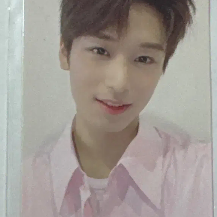 더보이즈 주연 블룸블룸 포카