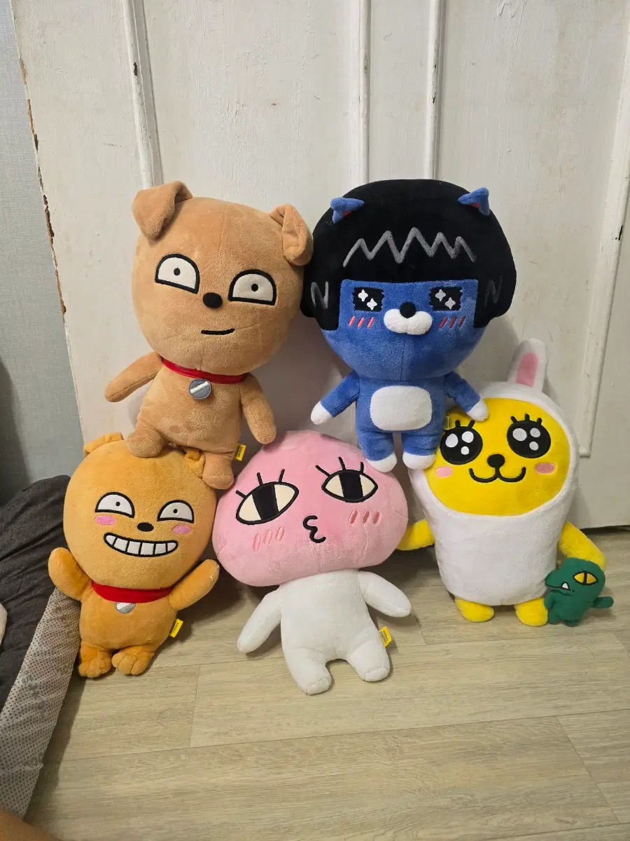 카카오프렌즈 인형 프로도 네오 어피치 무지 콘 일괄