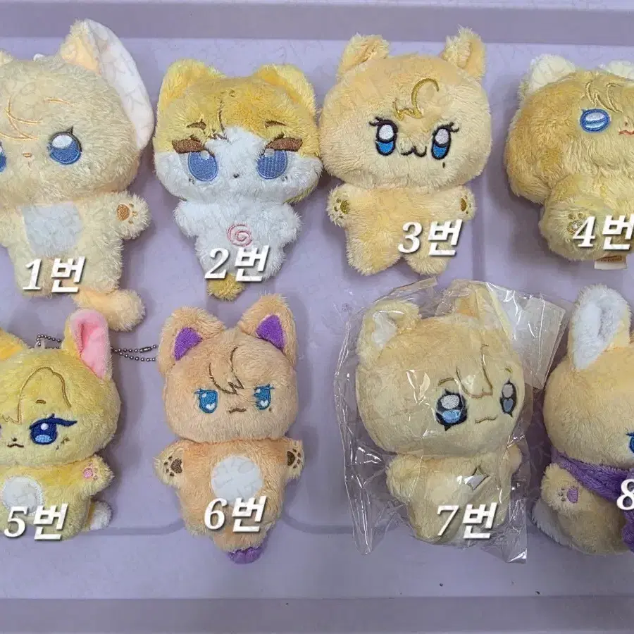 플레이브 노아 비공굿 솜깅 솜인형 원가이하 양도 판매
