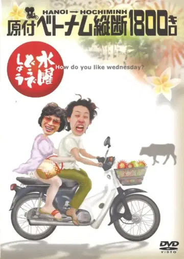 버라이어티 DVD 수요일 어떻게 할까요 하노이~호치민 원동기 베트남 종단 1800킬로