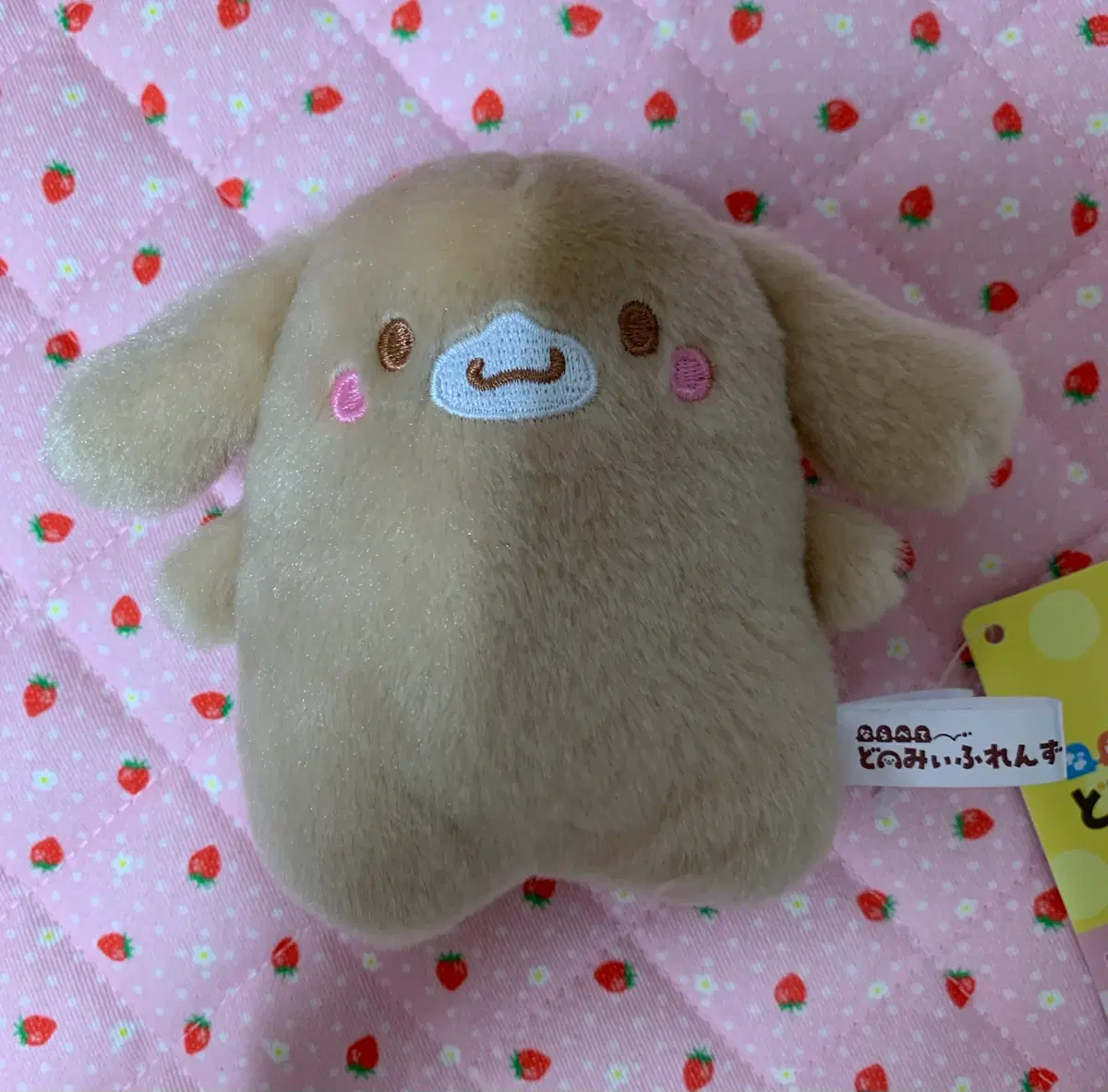 카푸치노 인형