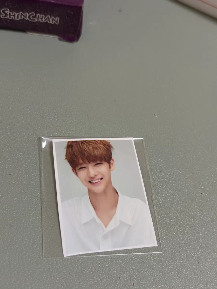 배진영 증명사진
