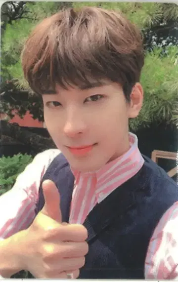 SEVENTEEN An Ode WONWOO 트레이딩 카드 브라운