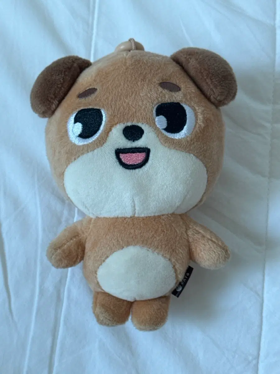 데이식스 도운 데니멀즈 돈이