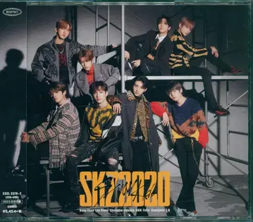 StrayKids 초회 한정판 SKZ2020