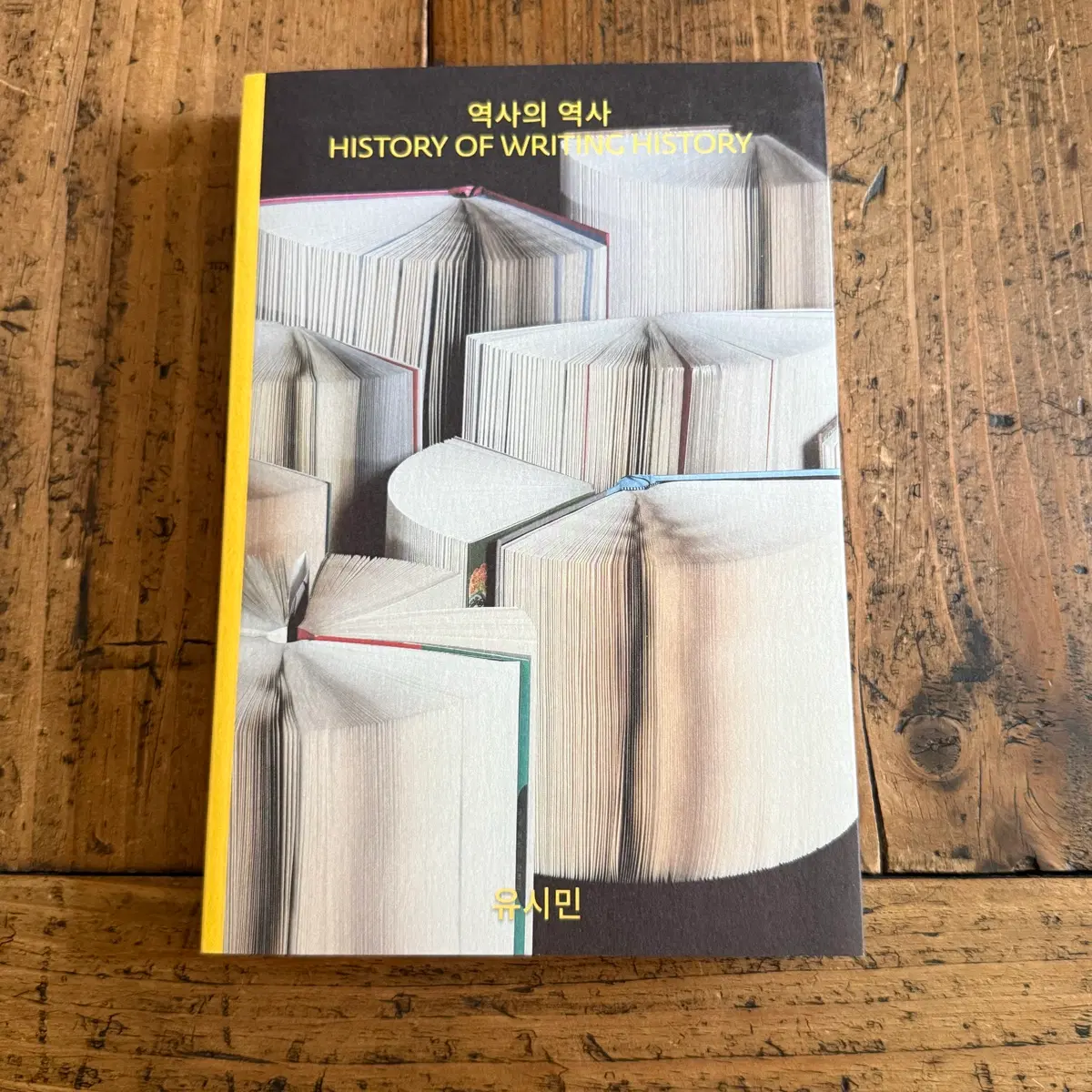 역사의 역사 History of Writing History 책