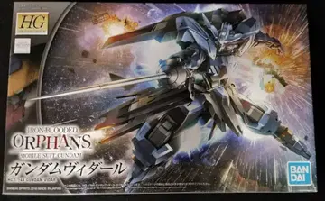 BANDAI SPIRITS HG 반다이 스피리츠판 건담 비다르