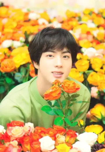 BTS 2018 LOVE YOURSELF JAPAN EDITION JIN 미니 포토카드 4/8