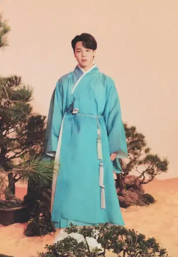 BTS 달마중 지민 미니 포토카드 33/56