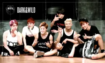 BTS DARK&WILD 집합 트레이딩 카드 가로/전신