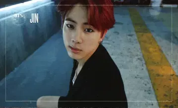 BTS 진 DARK&WILD