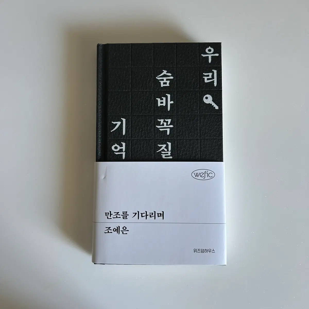 만조를 기다리며 조예은 소설 책