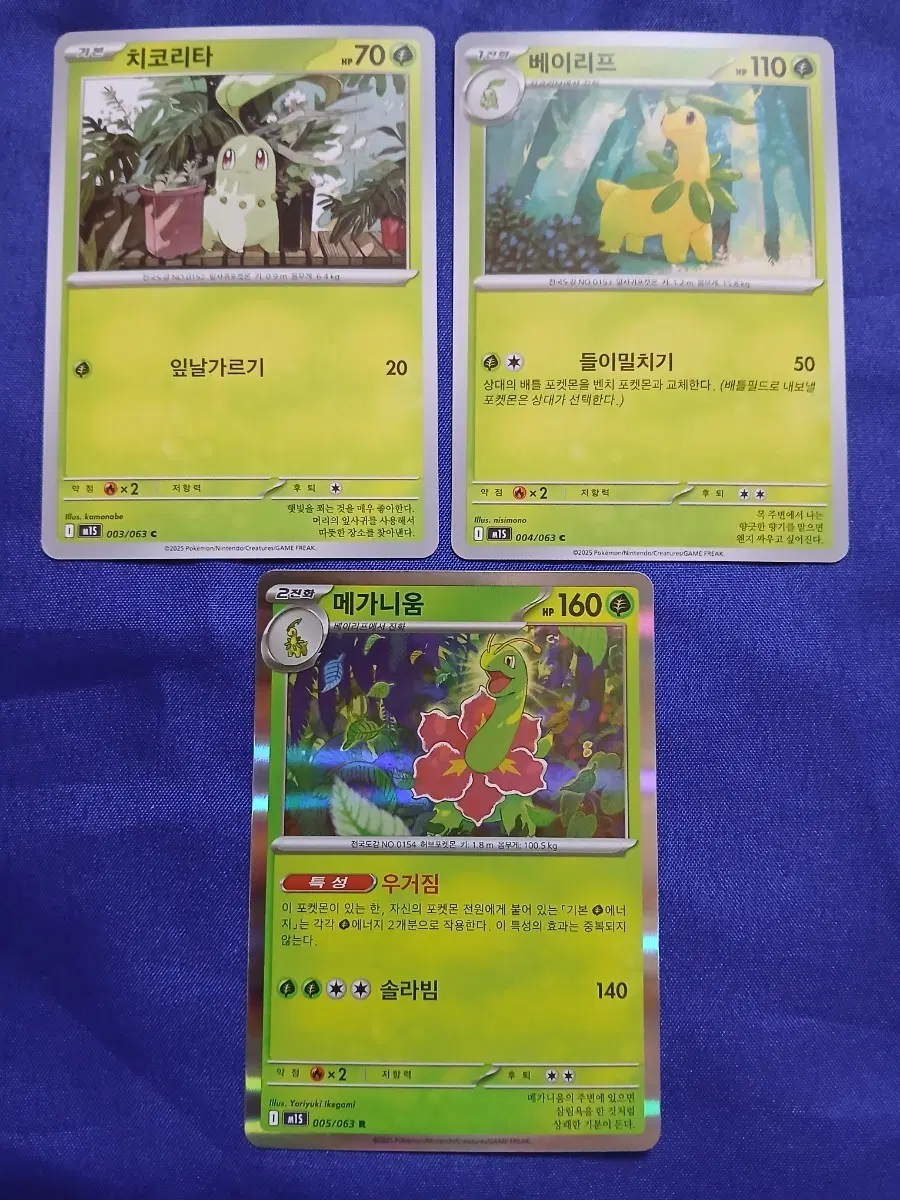 포켓몬 카드 치코리타 베이리프 메가니움 3장 일괄
