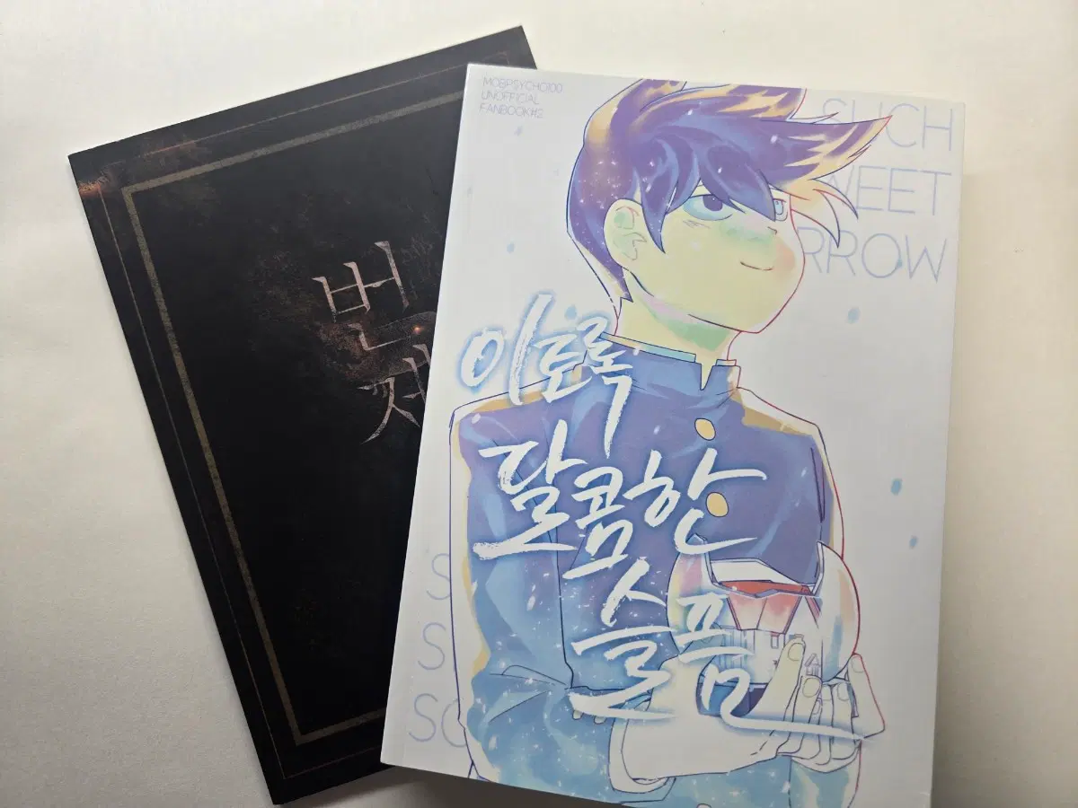 몹싸 모브리츠 회지