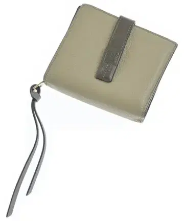 LOEWE 지갑 코인 케이스 여성용