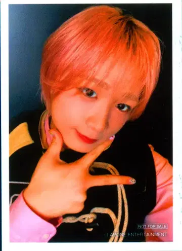 DXTEEN KCON JAPAN 2026 다나카 쇼타로 L판 하프 사이즈 브로마이드