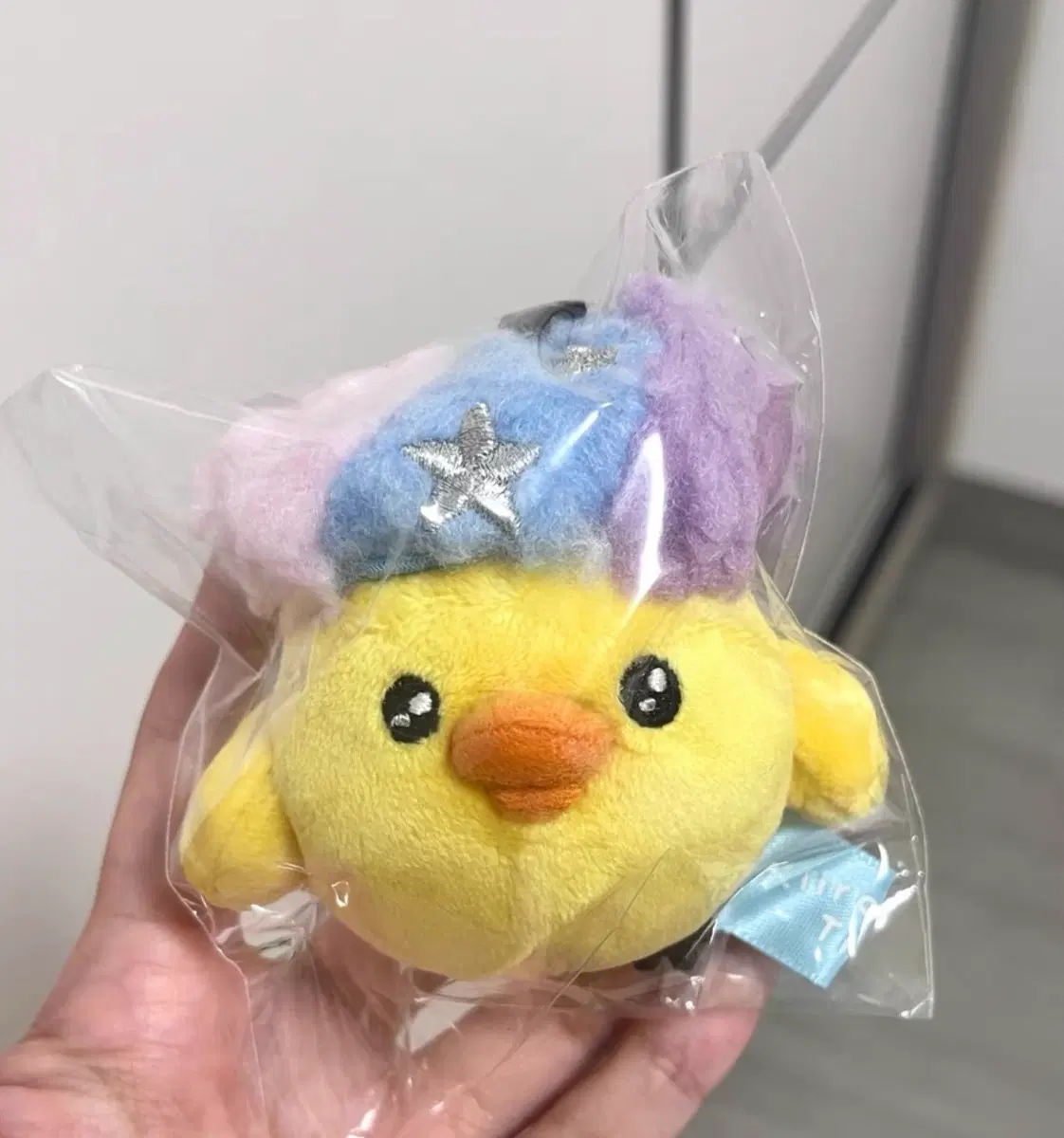 아프로 키이로토리