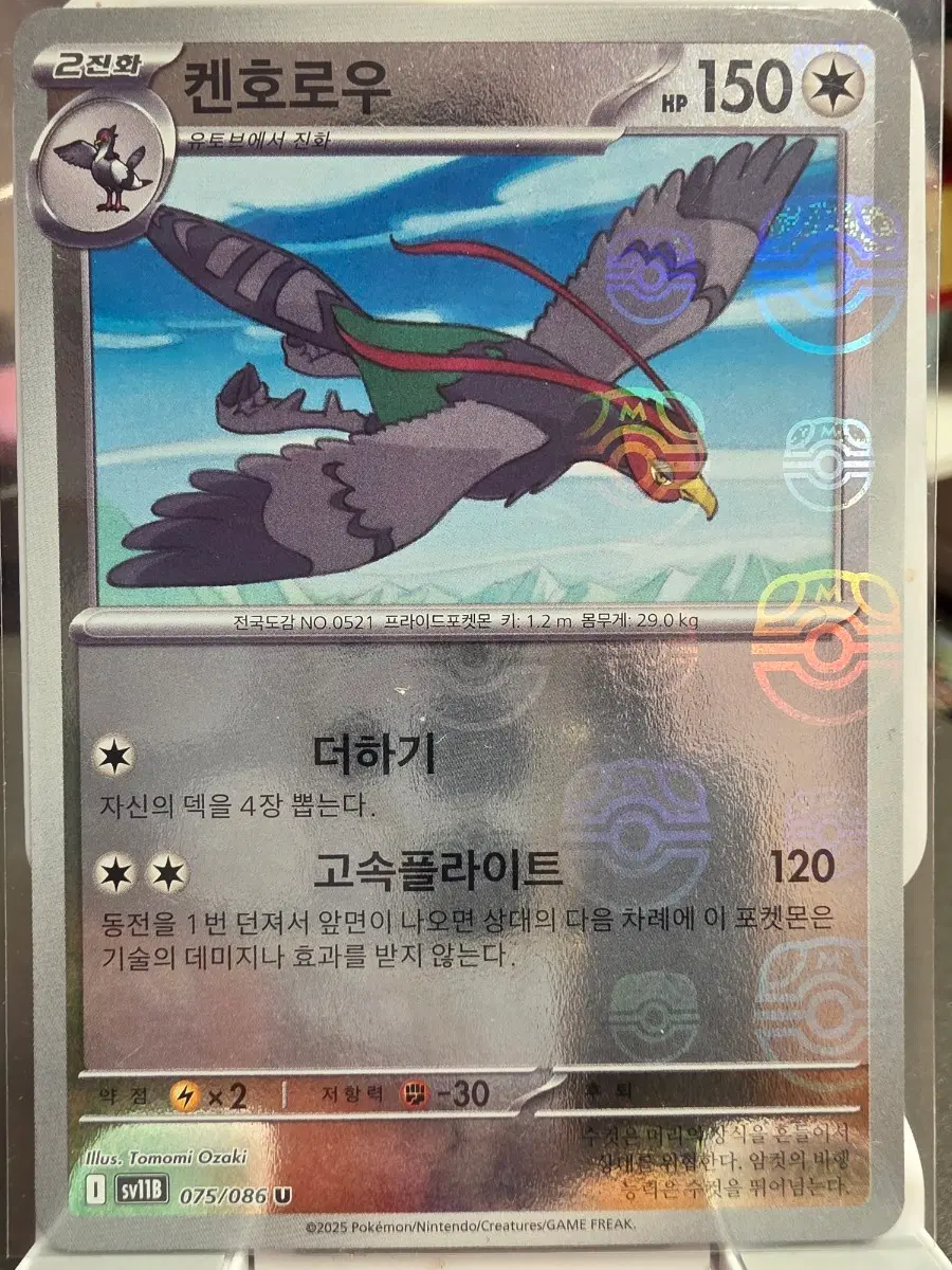 포켓몬카드 켄호로우 마스터볼