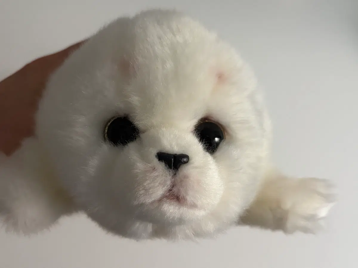물개 인형