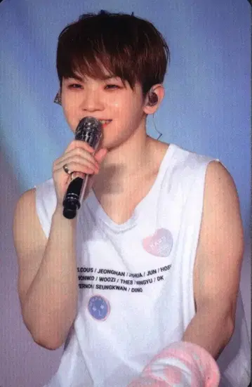 세븐틴 우지 하루