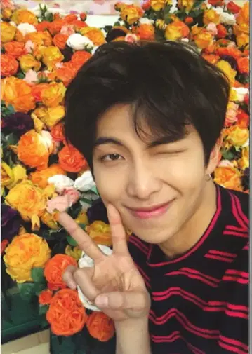 BTS PASSPORT CASE RM 2018 LOVE YOURSELF JAPAN EDITION