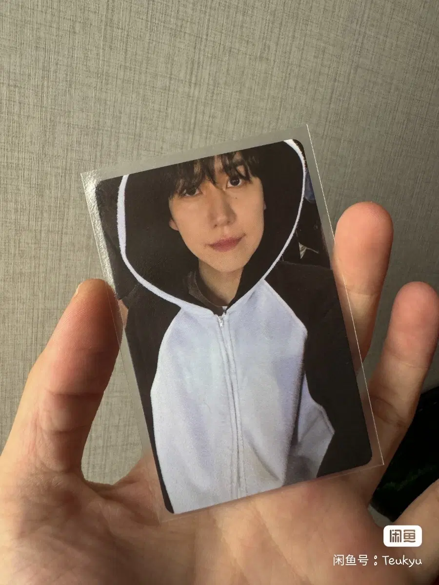 예판 슈퍼주니어 싱가포르 팬싸인 포카 일괄
