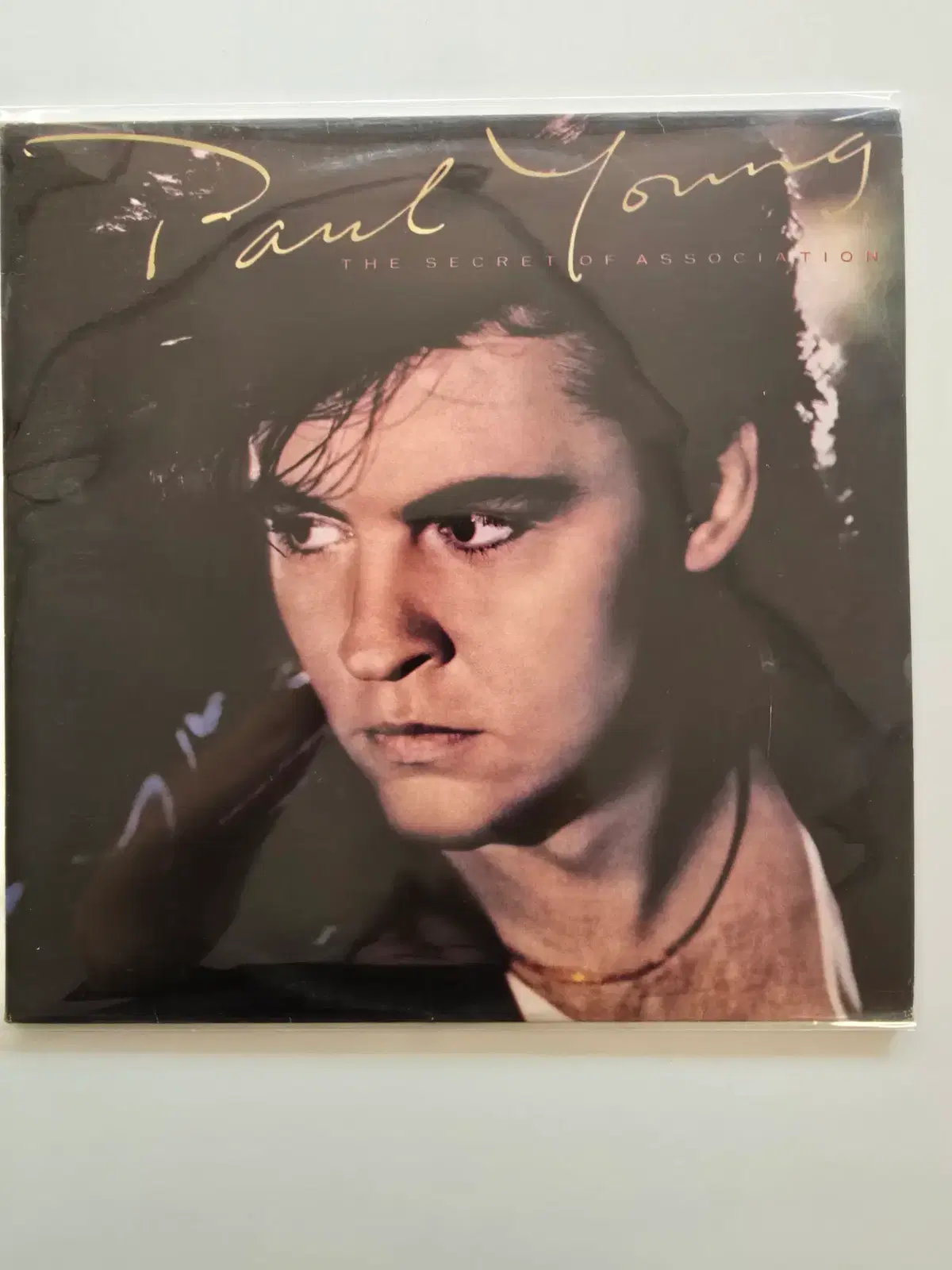 Paul Young (폴 영) LP / The Secret of Association / EX, MINT /가사집