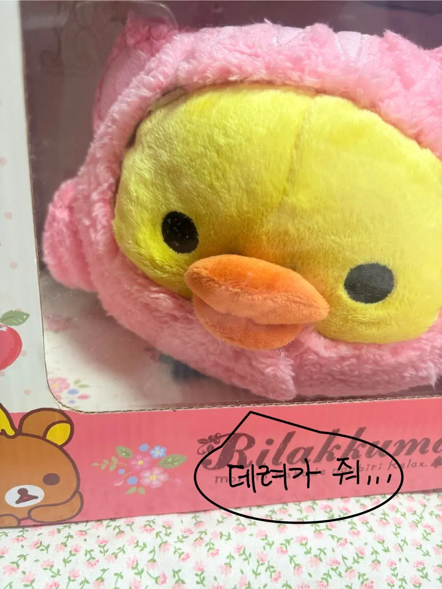 산엑스 리락쿠마 대왕 다람쥐 키이 키이로이토리