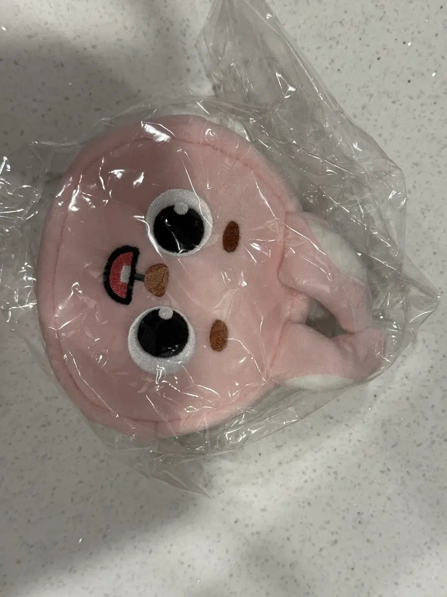 (미개봉) 데이식스 일본MD 필 파우치 판매합니다