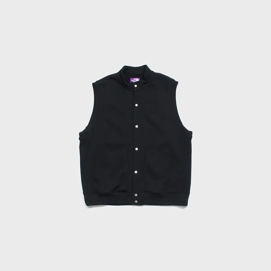 THE NORTH FACE PURPLE LABEL 베스트