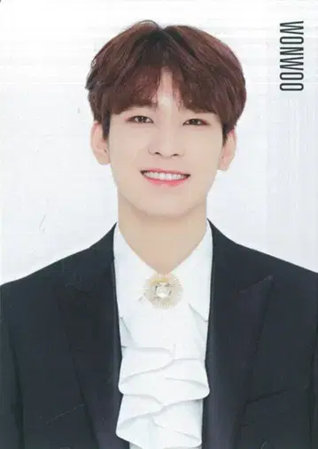 SEVENTEEN 2019 Happy Ending SHOWCASE 원우 트레이딩 카드 0033